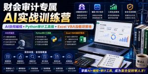 财会审计专属AI实战训练营|AI协同编程+Python审计工具箱+Excel VBA加载项落地(更新0816)-大象聊项目