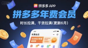 拼多多年费会员，实经验分享操，时长拉满，干货拉满(更新260817)-大象聊项目