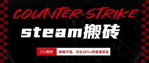 steam搬砖,倒卖cs2饰品,达到月化20%+的收益,真正的靠谱可落地长期项目-大象聊项目