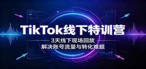 TikTok线下特训营:3天线下现场回放,解决账号流量与转化难题-大象聊项目