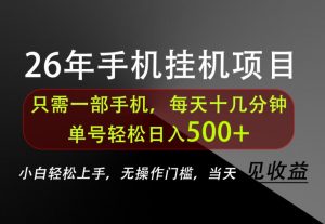 长期稳定可做,只需一部手机!单号轻松日入500+,不搞套路,只讲干货!【揭秘】-大象聊项目