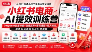 小红书电商AI提效训练营—DeepSeek批量标题+快速混剪+爆款选题+达人玩法,解决新店流量低与出单难题-大象聊项目