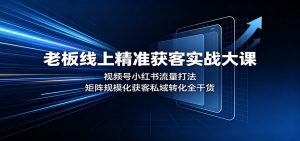 老板线上精准获客实战大课:视频号小红书流量打法,矩阵规模化获客私域转化全干货-大象聊项目