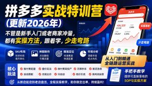 拼多多实战特训营(更新26年0822-大象聊项目