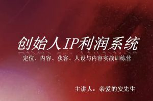创始人IP利润系统8月训练营，定位、内容、获客、人设与内容实战训练营-大象聊项目