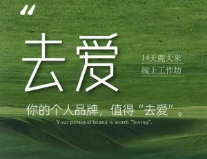 去爱14天鹿大米线上工作坊，你的个人品牌，值得“去爱”-大象聊项目