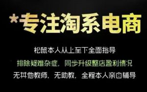 松鼠会电商VIP课程,从基础布局到高阶优化,助你掌握淘宝运营逻辑,提升店铺流量与转化(更新0823)-大象聊项目