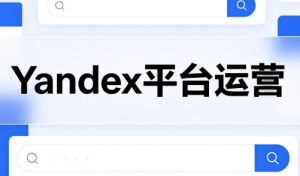 壹壶电商·Yandex平台运营全流程-大象聊项目
