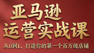 skyla·亚马逊运营实战课(更新8月)-大象聊项目