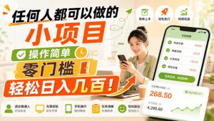 任何人都可以做的小项目：操作简单，零门槛轻松日入几百！【揭秘】-大象聊项目