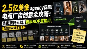 2.5亿美金agency私藏!电商广告创意全攻略:告别烧钱无效,模板SOP直接用【原创双语字幕】-大象聊项目