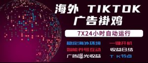 海外TikTok挂G流量变现，7X24自动运行，广告曝光收益，收益日结【揭秘】-大象聊项目
