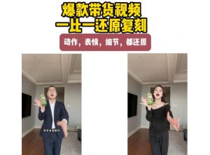 AI带货视频复刻，一比一还原加二创，动作，表情，细节，都还原，新手也能直接套用-大象聊项目
