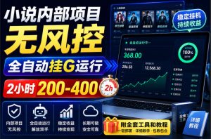 小说内部项目无风控,全自动挂G运行,2小时200-400,附全套工具和教程【揭秘】-大象聊项目
