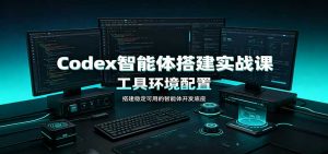 Codex智能体搭建实战课:工具环境配置,自定义技能开发,多业务自动化教学-大象聊项目