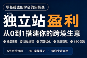 刘老师·5节课跑通独立站盈利全流程-大象聊项目