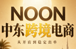NOON中东跨境电商:从开店到稳定出单(更新2026)-大象聊项目