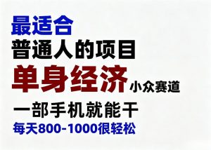 身经济小众赛道,一部手机就能干,每天搞个800-1000很轻松,最适合普通人的项目【揭秘】-大象聊项目