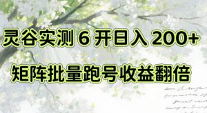 一台电脑就能做！灵谷实测6开日入200+，矩阵批量跑号收益翻倍【揭秘】-大象聊项目
