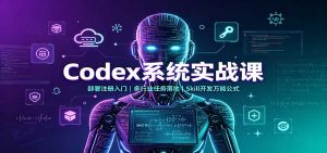 Codex系统实战课：部署注册入门，多行业任务落地，Skill开发万能公式-大象聊项目