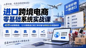 进口跨境电商零基础系统实战课：45节从政策税收、1210保税进口到三单对碰与跨境云仓完整教学-大象聊项目