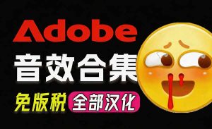 请称爆硬盘！Adobe 和 达芬奇 官方提供的高品质免版税音效库， 10000+ 免费商用音效合集，已离线打包-大象聊项目