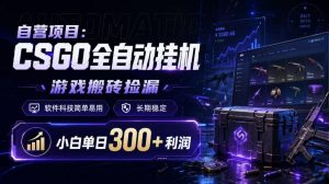 自营项目：CSGO全自动挂G，游戏搬砖捡漏，软件科技简单易用，长期稳定，小白单日300+利润【揭秘】-大象聊项目