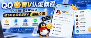 QQ黄V认证教程，个人主资料显示黄V认证，号下所有群都是黄V，逼格拉满-大象聊项目