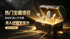 稀缺宝藏项目公开招募，低风险入局解锁月入过1W+机会【揭秘】-大象聊项目