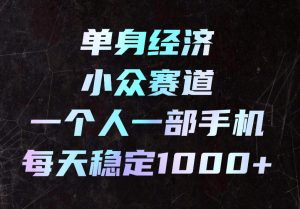 单身经济小众赛道,一个人一部手机,每天稳定1000+,长期可持续的赛道【揭秘】-大象聊项目