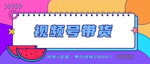 日入2000+的副业，视频号带货，一部手机改写人生篇章，无需投资-大象聊项目