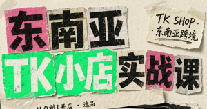 东南亚TK小店实战课(基础+进阶)-大象聊项目