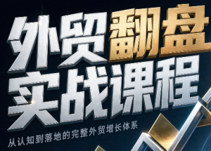 Alisa老师·外贸翻盘实战课程(更新部分)-大象聊项目