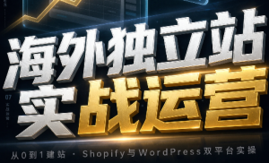海外独立站实战运营-大象聊项目