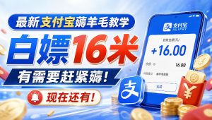 最新支付宝薅羊毛教学，白嫖16米，有需要赶紧薅，现在还有！-大象聊项目