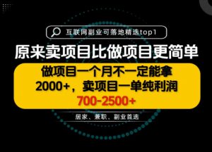 一单利润700-2.5K+,为什么我们要卖项目而不是做项目,我们普通人应该怎样开始?【揭秘】-大象聊项目