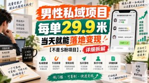 男性私域项目，每单29.9米，当天就能落地变现【不是S粉项目】，详细拆解-大象聊项目