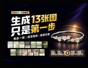 一张商品图，跑出13张电商图和15秒视频方案：这套Skill到底怎么工作？-大象聊项目