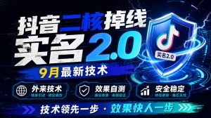 抖音二核掉线十名2.0，9月最新技术，外来技术，效果自测-大象聊项目