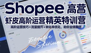 Shopee虾皮高阶运营精英特训营,高阶运营技巧+流量提升+转化率优化,助你业绩翻倍(更新26年9月)-大象聊项目