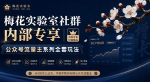 梅花实验室社群内部专享-公众号流量主系列全套玩法-大象聊项目