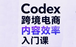 Codex跨境电商内容效率入门课-大象聊项目