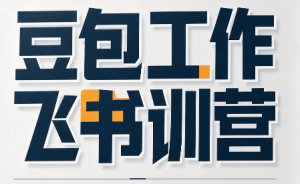 必火·豆包工作+飞书训营(更新9月)-大象聊项目