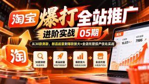 淘宝爆打全站推广进阶实战05期：从30款测款、新品起量到爆款放大+全店托管投产优化实战-大象聊项目