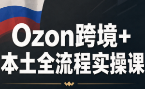 Ozon跨境+本土全流程实操课-大象聊项目