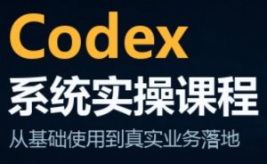 codex系统实操课程(更新10月)-大象聊项目