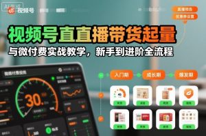 视频号直播带货起量与微付费实战教学，新手到进阶全流程(更新26年10月)-大象聊项目