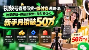视频号直播带货+微付费进阶课-更新1010：流量逻辑+微信豆投放+微付费优化，新手月销破50万-大象聊项目