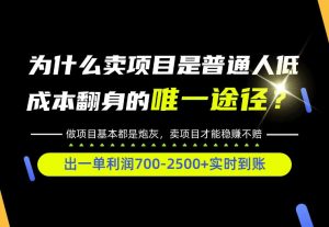 普通人如何靠互联网賺取自己的第一桶金！全类目实操型教学，看完你全都懂了！【揭秘】-大象聊项目