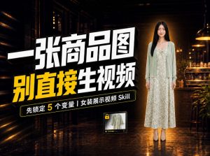 女装AI视频总翻车？问题不在提示词，女装展示视频Skill先锁定5个变量！-大象聊项目